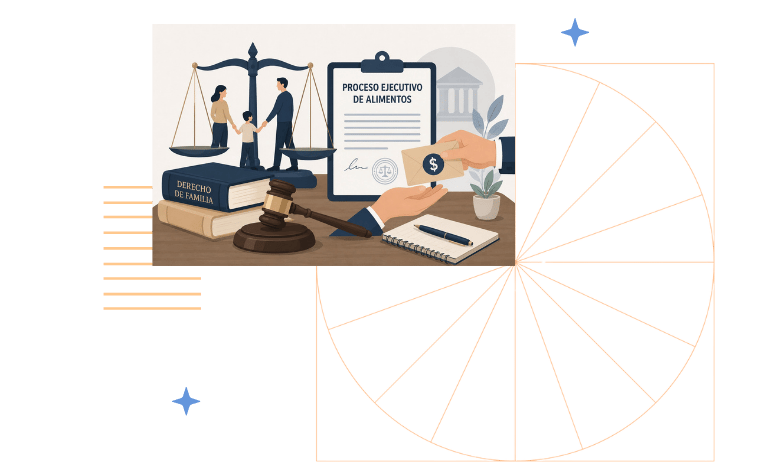 Proceso ejecutivo de alimentos